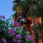 Hotel Résidence Les Cyclades Le Lavandou