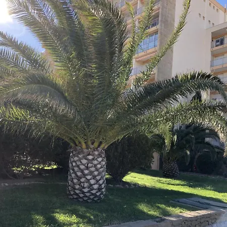 Hotel Résidence Les Cyclades