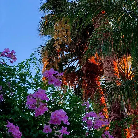 Hotell Les Cyclades Le Lavandou