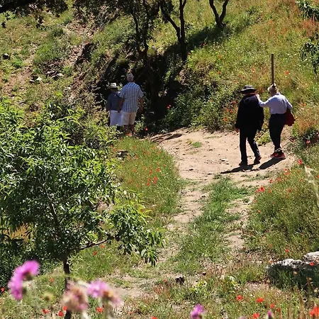 Les Cyclades ホテル ル・ラヴァンドゥー